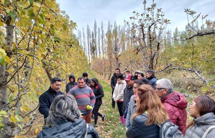 In Río Negro endete ein Ausbildungszyklus für 150 Landarbeiter im Obstsektor