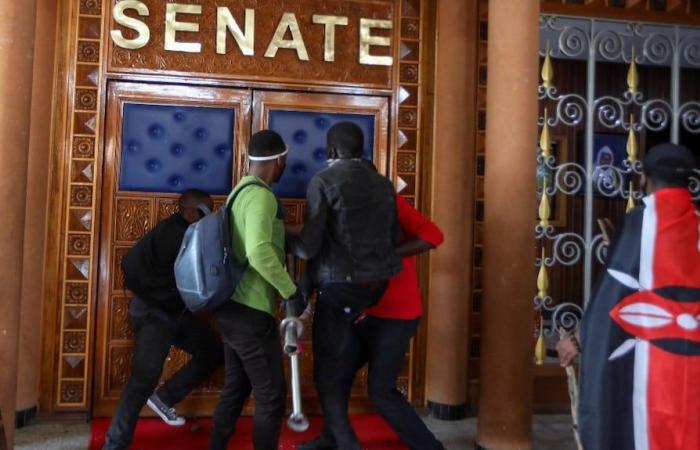 Demonstranten stürmen Parlament in Kenia: 17 Tote bei Protesten gegen Steuererhöhungen