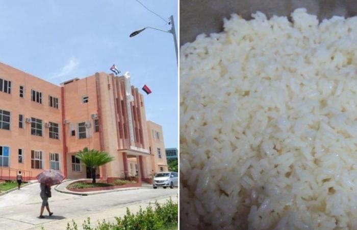 „Weißer Reis in einer 12-Stunden-Schicht“