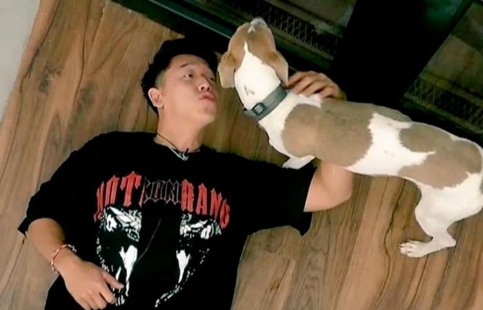 Video: So lebt der Hund Arturo heute, nachdem er das Big Brother-Haus verlassen hat