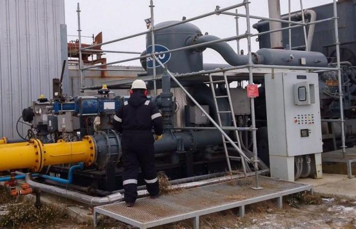 Sie fordern, dass die Betreibergesellschaften die Gaslieferung in TDF „verbessern“.
