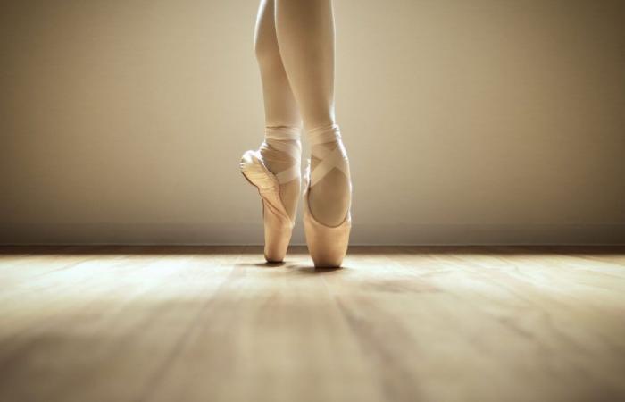 Die offizielle Ballettschule von Salta präsentiert heute ihren „Familientag“.