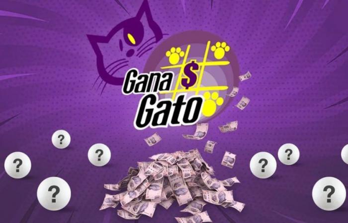 Gana Gato-Ergebnisse: Gewinner und Gewinnzahlen