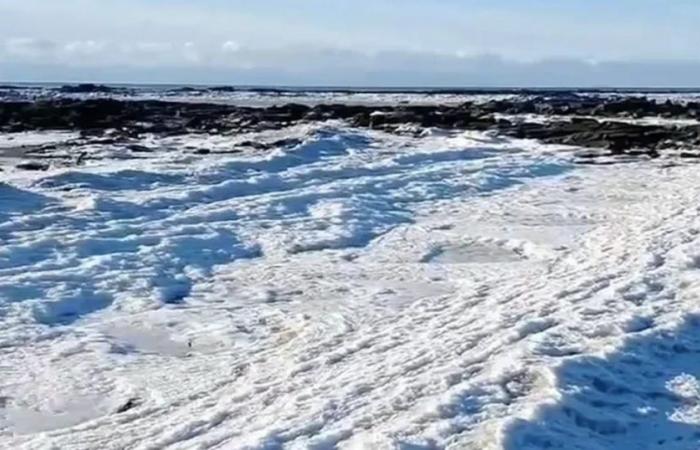 Ist das Meer in Feuerland zugefroren? Welche Faktoren erzeugen das Phänomen?