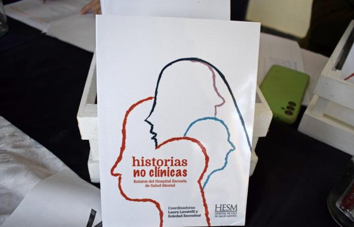 Das Buch, das Geschichten und Werdegänge des Mental Health School Hospital wiedergibt, wurde in Paraná vorgestellt