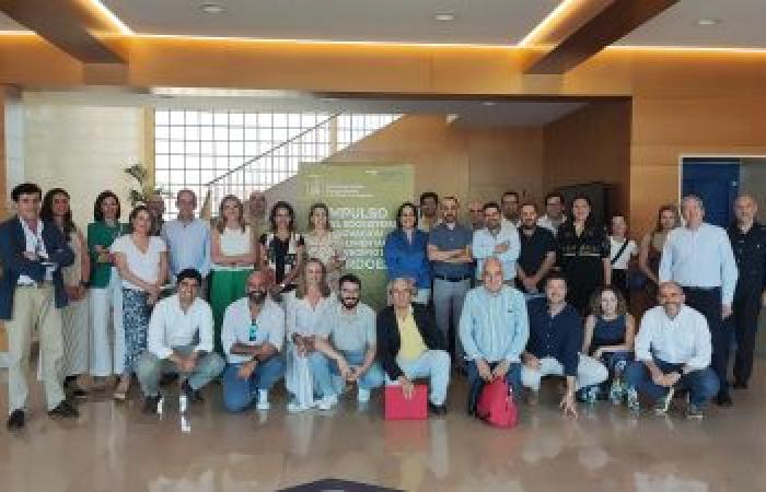 Universitätsnachrichten – Das Córdoba Agri-Food Innovation Forum wurde ins Leben gerufen, um die Entwicklung des Sektors zu fördern, wobei Kohlenstoffmärkte und künstliche Intelligenz die zentralen Themen dieser ersten Ausgabe sind