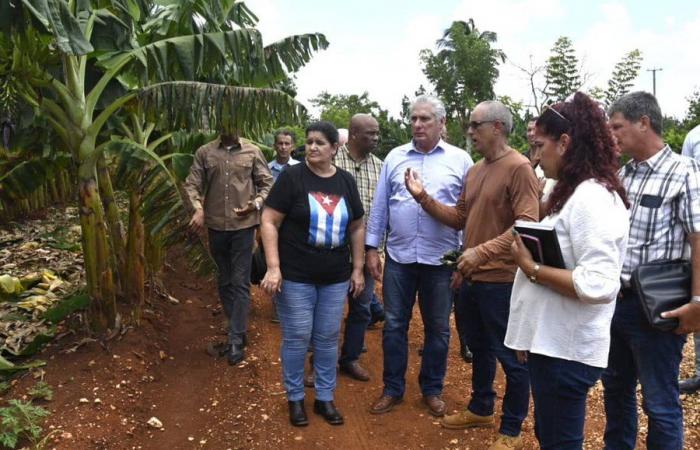 Der kubanische Präsident besucht die westliche Gemeinde Güira de Melena (+Tweet)