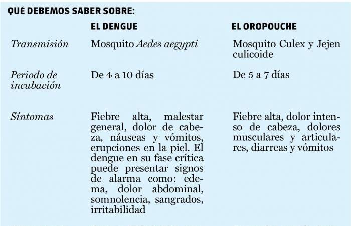 Wie ist die epidemiologische Situation in Kuba angesichts von Dengue- und Oropouche-Fieber? › Kuba › Granma