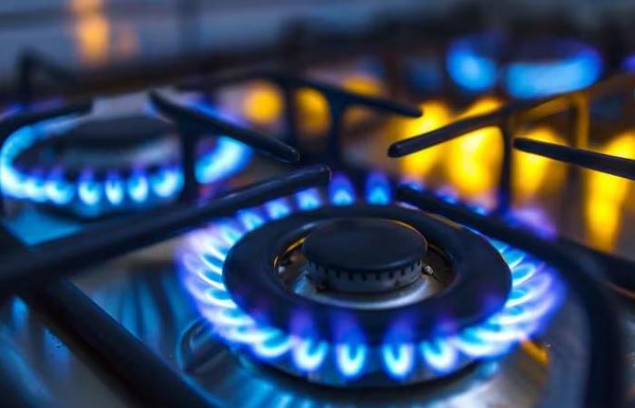 Die Regierung friert die Gas- und Stromtarife ein, um deren Auswirkungen auf die Inflation zu vermeiden