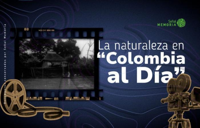 Natur in „Colombia al Día“
