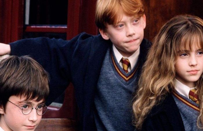 Was bisher über die Harry-Potter-Reihe bei Max bekannt ist