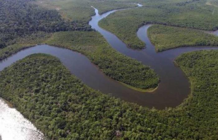 Warum führt keine Brücke über den Amazonas?