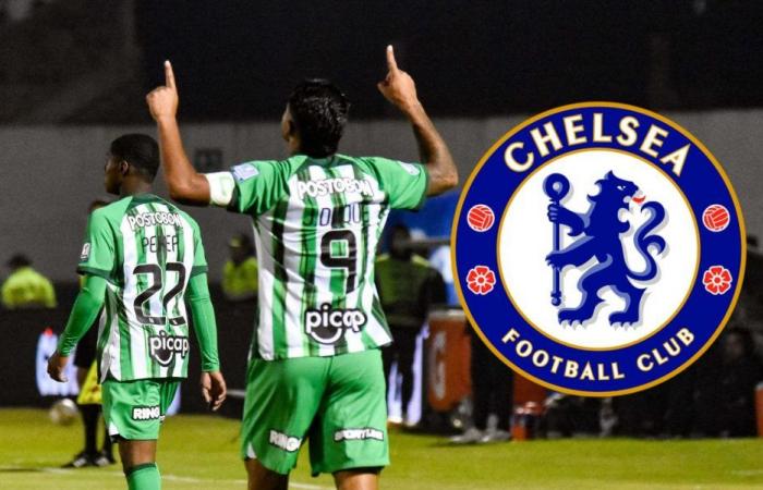 Chelsea hat einen weiteren Kolumbianer verpflichtet, und es ist nicht Jhon Durán: Sie haben 5 Millionen Euro gezahlt