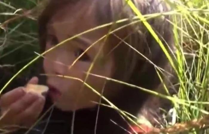 Die unglaubliche Rettung von Karina Chikitova, dem 4-jährigen Mädchen, das mit Hilfe ihres Hundes 11 Tage im sibirischen Wald überlebte
