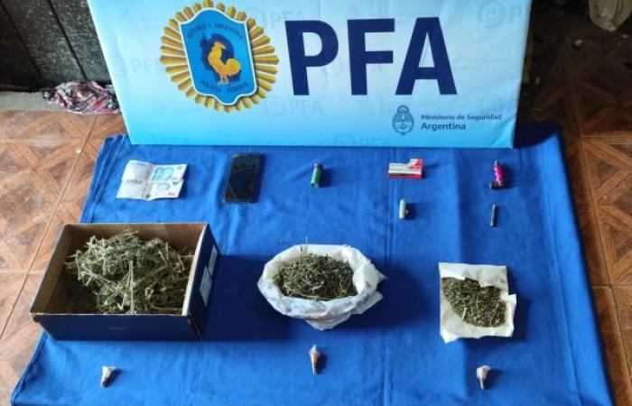 Die Bundesbehörde beschlagnahmt eine große Menge Marihuana in Mendoza