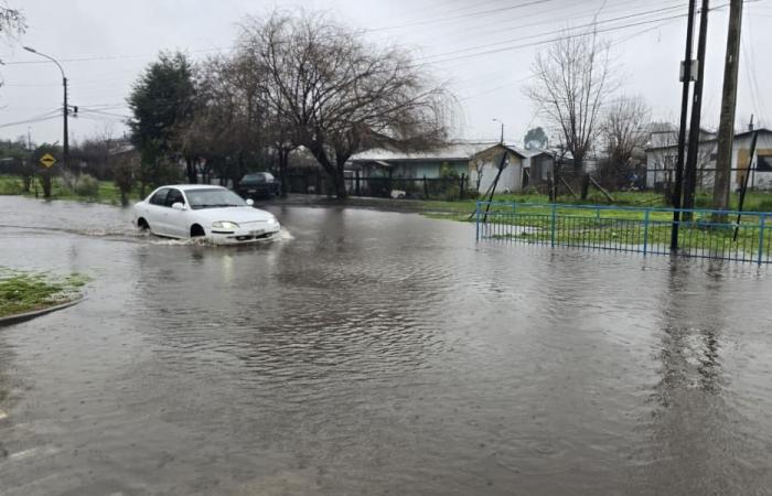 Nach heftigen Regenfällen: Für zwei Gemeinden in La Araucanía wird wegen Flussüberschwemmungen Alarmstufe Rot ausgerufen