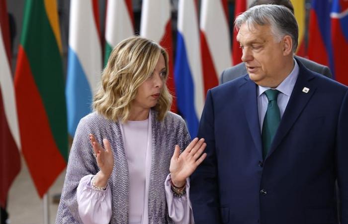 Die Empörung von Meloni und Orban, nachdem sie von den Verhandlungen zur Wahl der neuen europäischen Behörden ausgeschlossen wurden