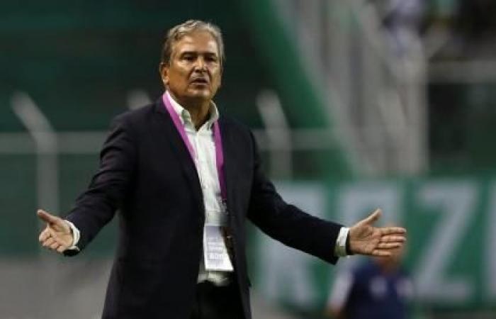 Jorge Luis Pinto analysierte die Gegenwart der kolumbianischen Nationalmannschaft: „Die Generation ist brillant“ | Copa America 2024