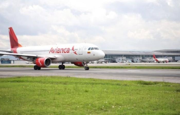 Annullierte Flüge, weiterverkaufte Stühle und Gepäckmaße: der „Rosenkranz“ der Beschwerden unter Avianca-Nutzern