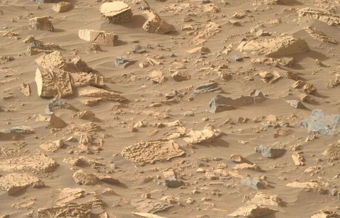 Von allen Funden von Perseverance im felsigen Boden des Mars stand dieser nicht auf der Liste: „Popcorn“