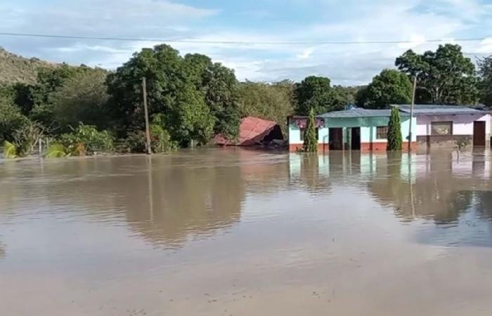 Regierung erklärt Notstand im von Erdrutschen betroffenen Bezirk Amazonas | Nachricht