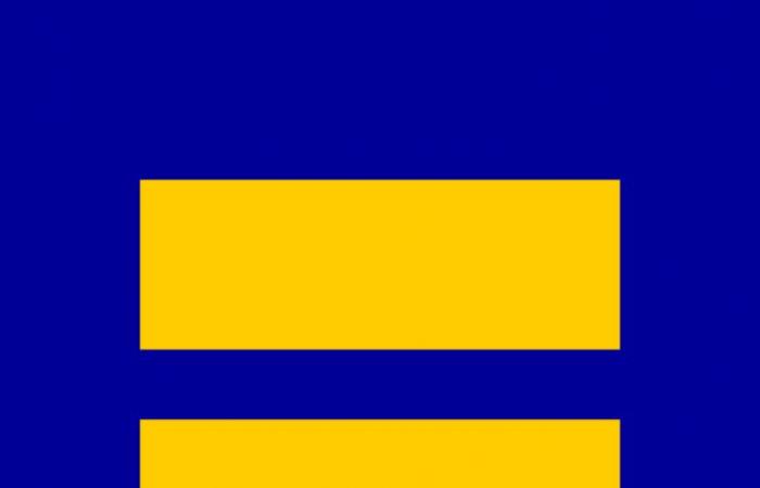 Was bedeutet LGBTIQ+ und was symbolisieren die verschiedenen Flaggen innerhalb der Community?