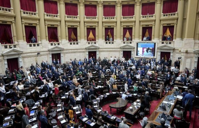 Die argentinische Abgeordnetenkammer genehmigt die ersten von Milei geförderten Reformgesetze