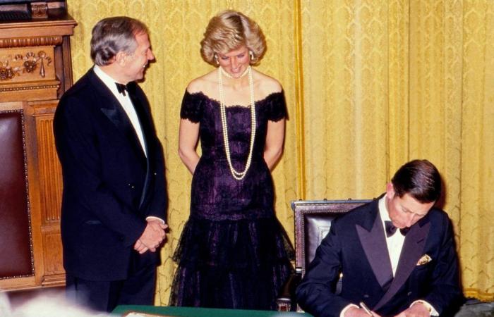 Das Erbe von Lady Di wird erneut für Millionen versteigert: vom Abendkleid bis zum handgeschriebenen Brief | Menschen
