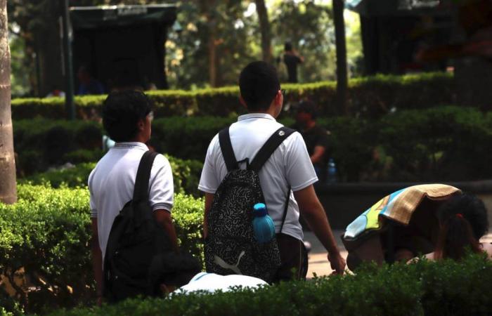 Ergebnisse der Aufnahmeprüfung für die Universidad Veracruzana: Wo kann man sie überprüfen? – Xalapa-Tagebuch