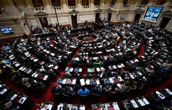 Die argentinische Abgeordnetenkammer ratifiziert das von Milei geförderte staatliche Abwrackgesetz