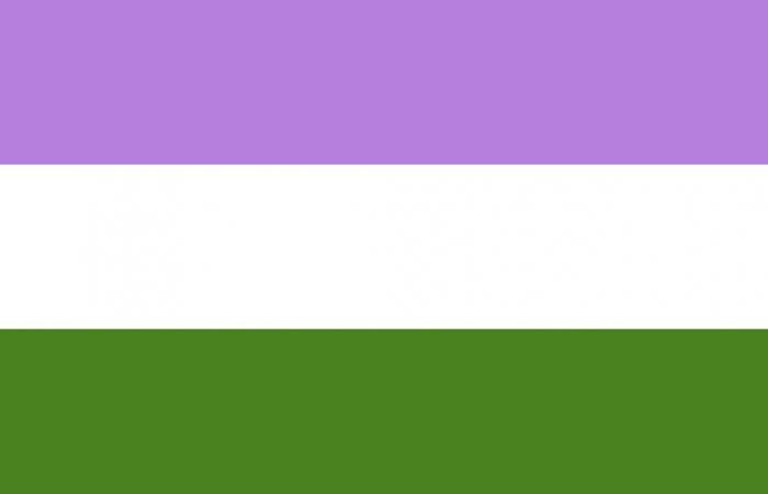 Was bedeutet LGBTIQ+ und was symbolisieren die verschiedenen Flaggen innerhalb der Community?
