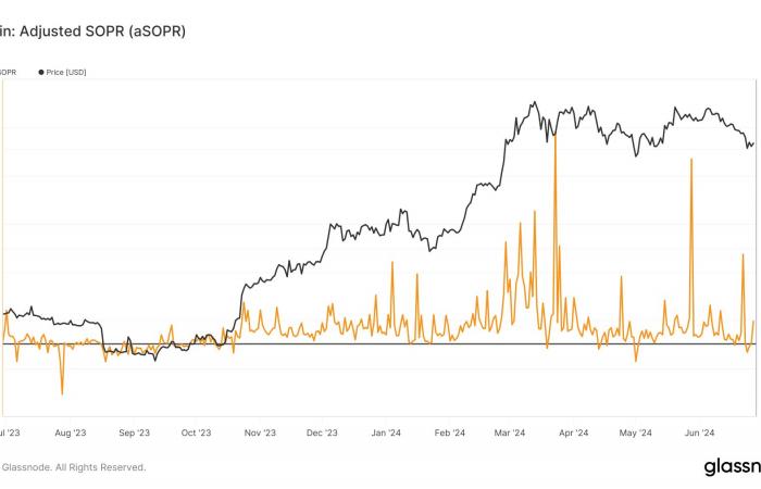 Bitcoin: Mehr als 1 Million Adressen halten jetzt 1 BTC, da der Markt eine Erholung erwartet