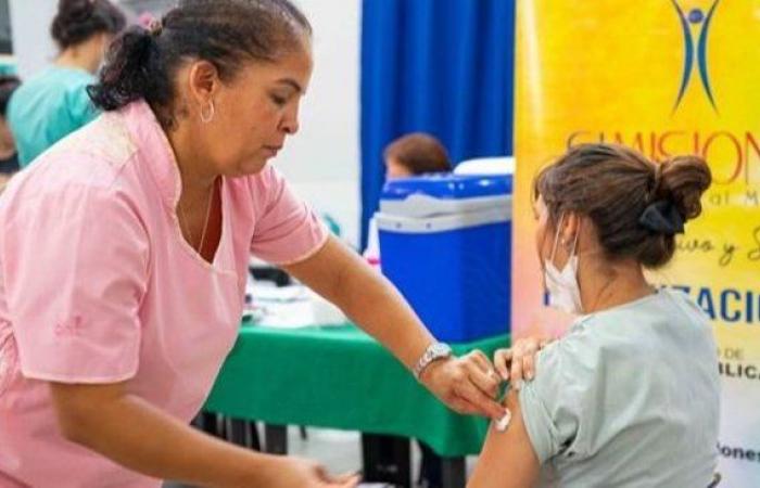 Der Vormarsch der Influenza A in Misiones ist besorgniserregend: Wie ist der Gesundheitszustand in der Provinz?