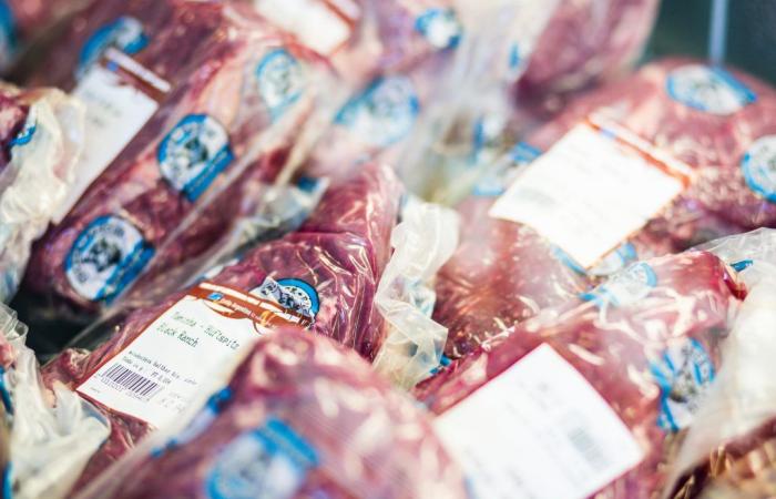 Von der Herstellung von Türen bis zum Verkauf argentinischen Fleisches in Deutschland – Expoagro 2024