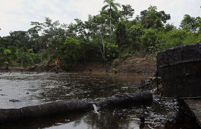 Ecuador ist mit einer Ölpest konfrontiert, die einen Fluss im Amazonas verseucht