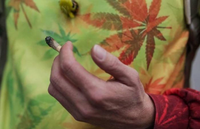 Brasilien entkriminalisiert den Besitz und Konsum von Marihuana für den persönlichen Gebrauch