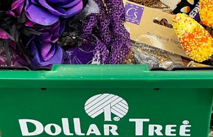 Dollar Tree: 5 Tipps, die Sie beim Einkaufen beachten sollten | Vereinigte Staaten | nnda nnlt | MISCHEN