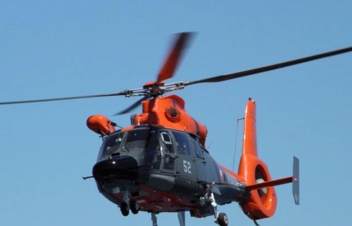 Die chilenische Marine prüft die Anschaffung von acht Hubschraubern als Ersatz für den Dauphin