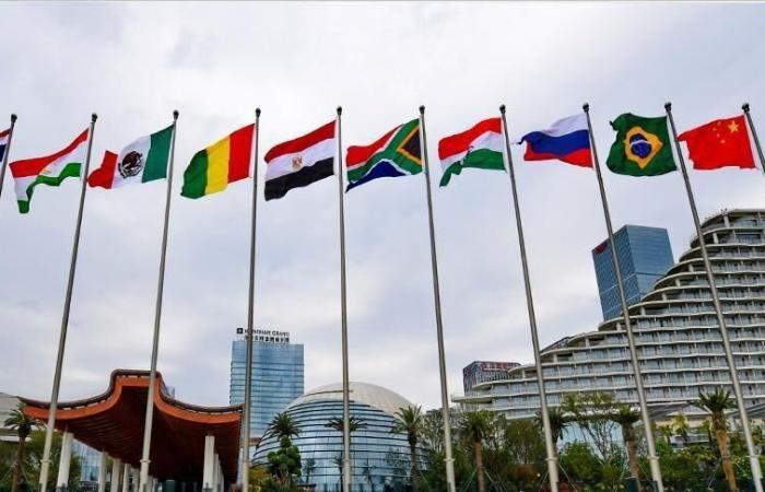 Brasilien sieht mit der Erweiterung der BRICS-Staaten „riesige Chancen“ für Agrarexporte