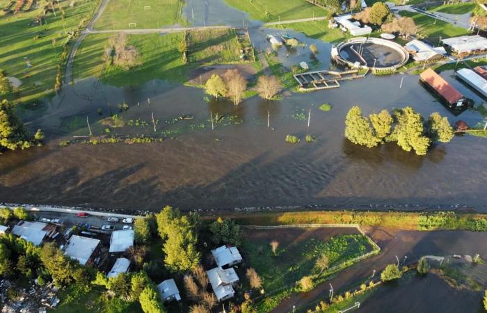 Wegen der Überschwemmung des Cruces River wird für Loncoche Alarmstufe Rot ausgerufen: Es gibt überflutete Häuser | National