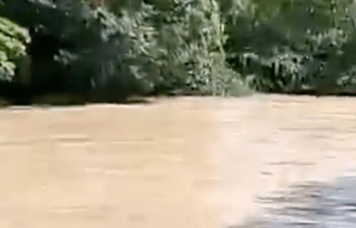 Empörung über ein ohnmächtiges Pferd und ein anderes, das während der San-Pedro-Feierlichkeiten in Huila in einem Fluss trieb