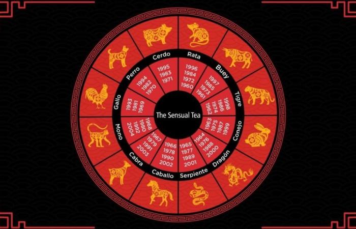 Chinesisches Horoskop: das Zeichen für Wirtschaftswachstum und die Durchführung neuer Unternehmungen