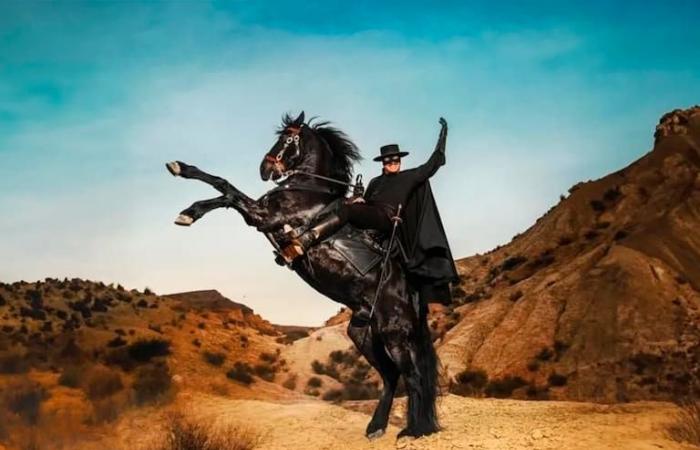 Die Serie, die sich Zorro Jahre später vorstellt und einen Oscar-Gewinner als Protagonisten hat