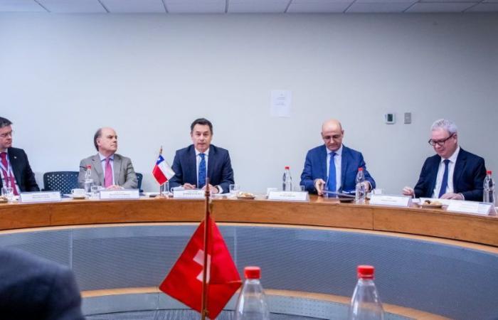 Chile und die Schweiz halten das VII. Treffen politischer Konsultationen ab