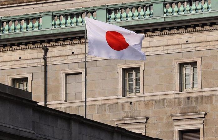 Japan untersucht den Tod von 76 Menschen, die ein Nahrungsergänzungsmittel zur Senkung des Cholesterinspiegels konsumierten