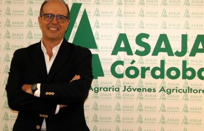 LANDWIRTSCHAFT CÓRDOBA | Interview Fernando Adell, Präsident von Asaja: „Der Ölpreis wird im November um die Hälfte sinken“