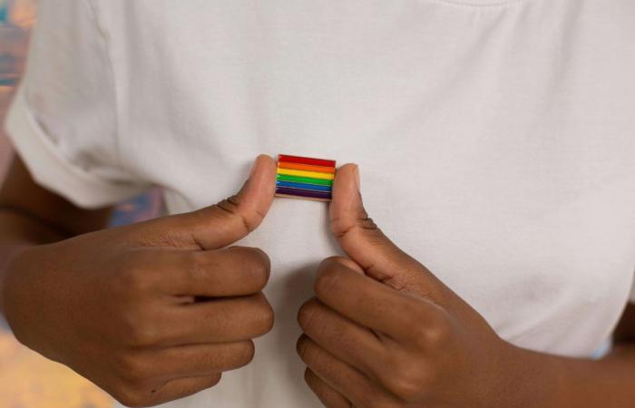 Casa de Nariño wird den Internationalen LGBTI+ Pride Day mit Veranstaltungen feiern