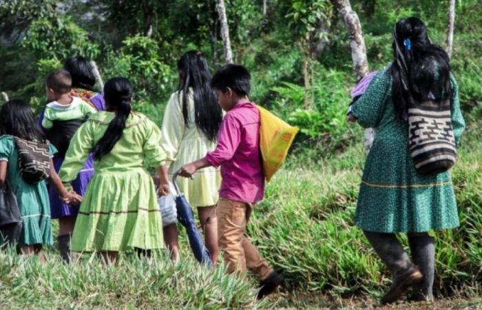 Beschwerde: Dissidenten haben einen jungen indigenen Mann in Cauca entführt