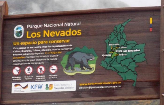 Die Regierung von Tolima engagiert sich für den Schutz des Nevados National Natural Park