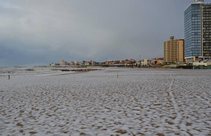 Wochenende voller Schnee und Meer: In Mar del Plata und an der Atlantikküste wird Schneefall vorhergesagt | Außerdem gilt eine gelbe Warnung.